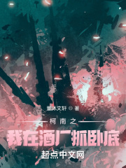 柯南之我在酒厂打卡上班