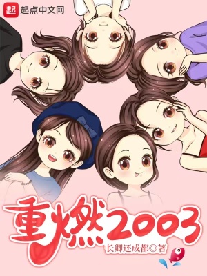 重燃2003全本txt免费下载